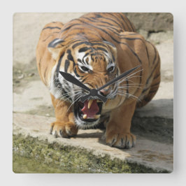 Reloj Cuadrado Tiger_2015_0156