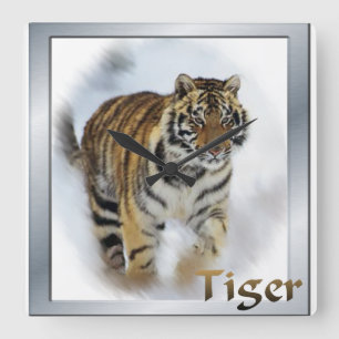 Reloj Cuadrado Tiger Aovers Art