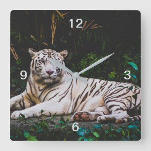 Reloj Cuadrado Tigre