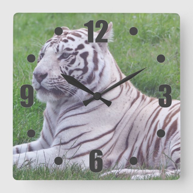 Reloj Cuadrado Tigre blanco (Anverso)