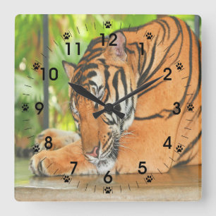 Reloj Cuadrado Tigre durmiente
