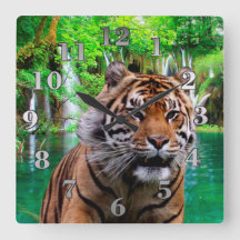 Tigre y cascada