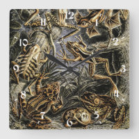 Toads y ranas antiguas de Ernst Haeckel