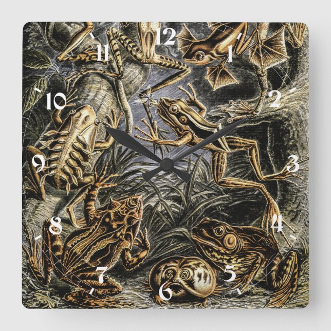 Reloj Cuadrado Toads y ranas antiguas de Ernst Haeckel (Anverso)