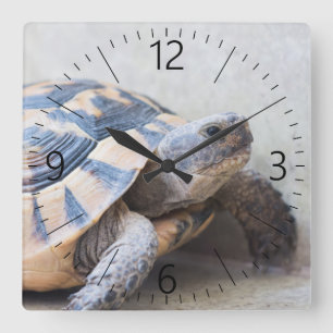 Reloj Cuadrado Tortoise