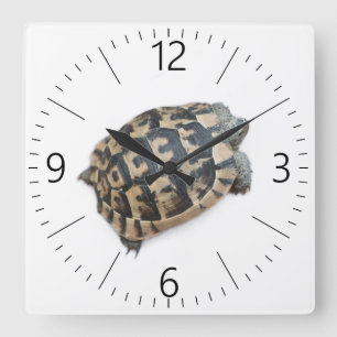 Reloj Cuadrado Tortoise