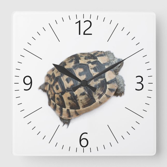 Reloj Cuadrado Tortoise (Anverso)