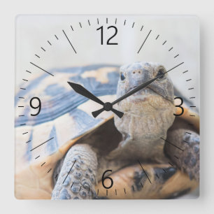 Reloj Cuadrado Tortoise