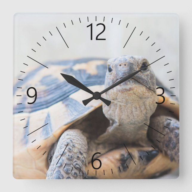 Reloj Cuadrado Tortoise (Anverso)