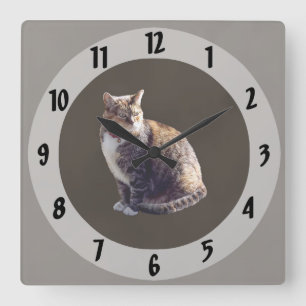 Reloj Cuadrado Tortoiseshell Cat
