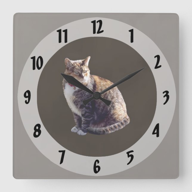 Reloj Cuadrado Tortoiseshell Cat (Anverso)