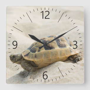 Reloj Cuadrado Tortuga