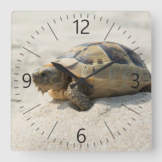 Reloj Cuadrado Tortuga (Anverso)