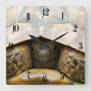 Reloj Cuadrado Tortuga