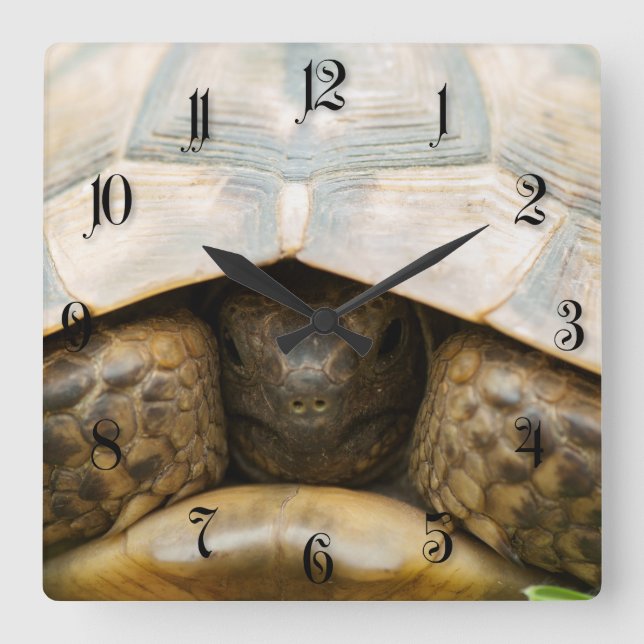 Reloj Cuadrado Tortuga (Anverso)