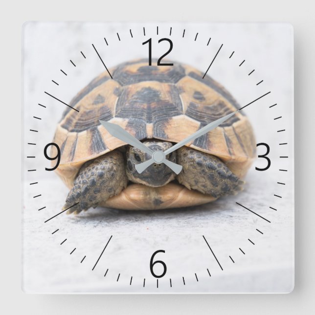 Reloj Cuadrado Tortuga (Anverso)
