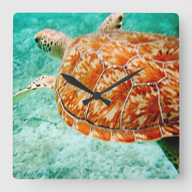 Reloj Cuadrado Tortuga marina (Anverso)