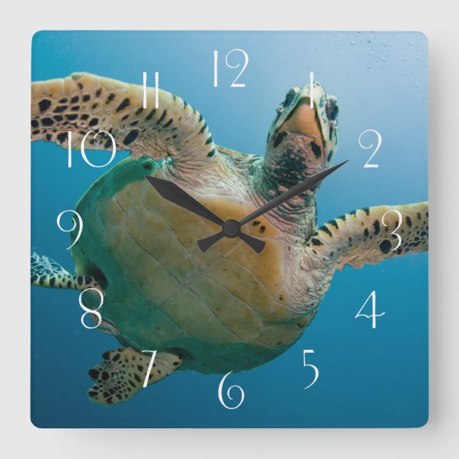 Reloj Cuadrado Tortuga marina asombrosa (Anverso)