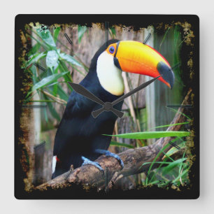 Reloj Cuadrado Toucan 5A Clocks de pared y opciones numéricas