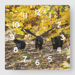 Reloj Cuadrado Tres Baños