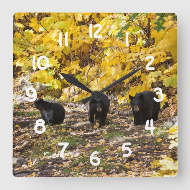 Reloj Cuadrado Tres Baños (Anverso)