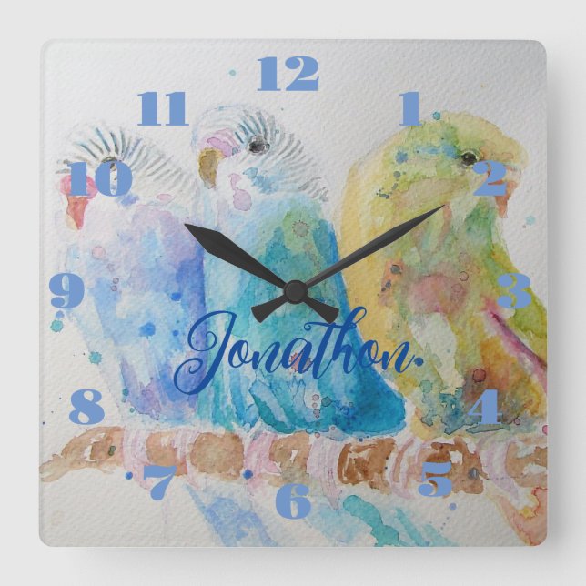Reloj Cuadrado Tres Budgies Budgie Budgerigar Boys Room Clock (Anverso)