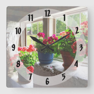 Reloj Cuadrado Tres potes de geranios en Windowsill