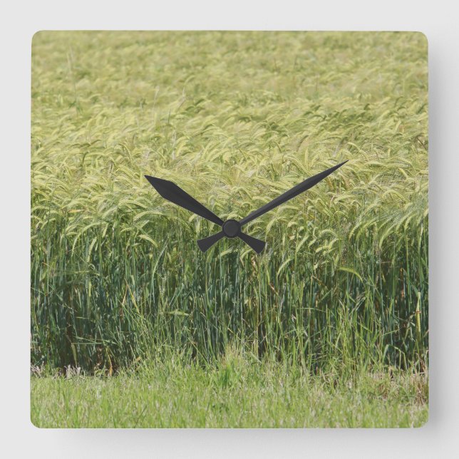 Reloj Cuadrado Trigo - ¡Sabroso! (Anverso)