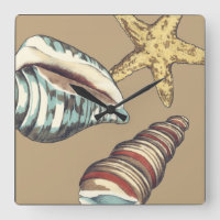 Trío de Shell en de color caqui