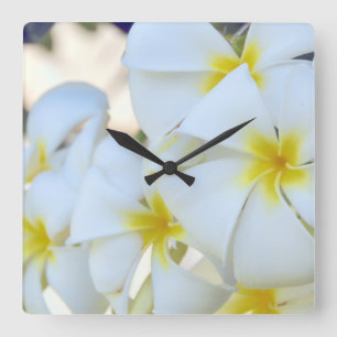Reloj Cuadrado Tropical Plumeria Flowers