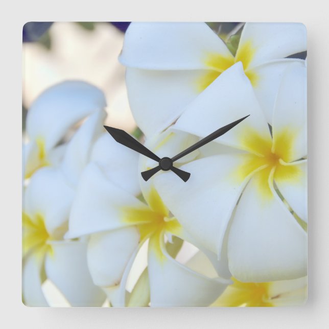 Reloj Cuadrado Tropical Plumeria Flowers (Anverso)