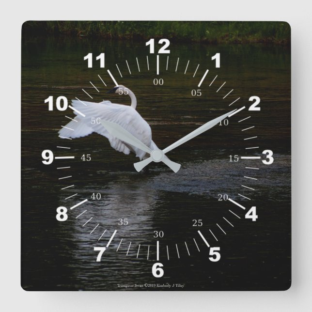 Reloj Cuadrado Trumpeter Swan (Anverso)