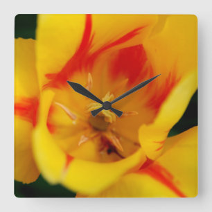 Reloj Cuadrado tulip macro