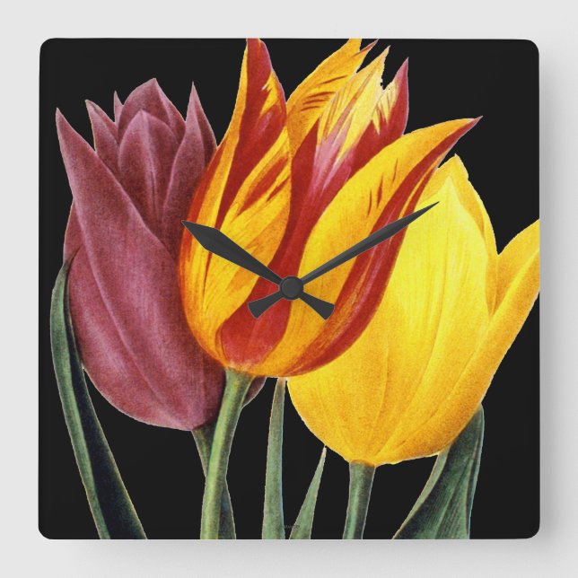 Reloj Cuadrado Tulip (Tulipa Gesneriana) (Anverso)