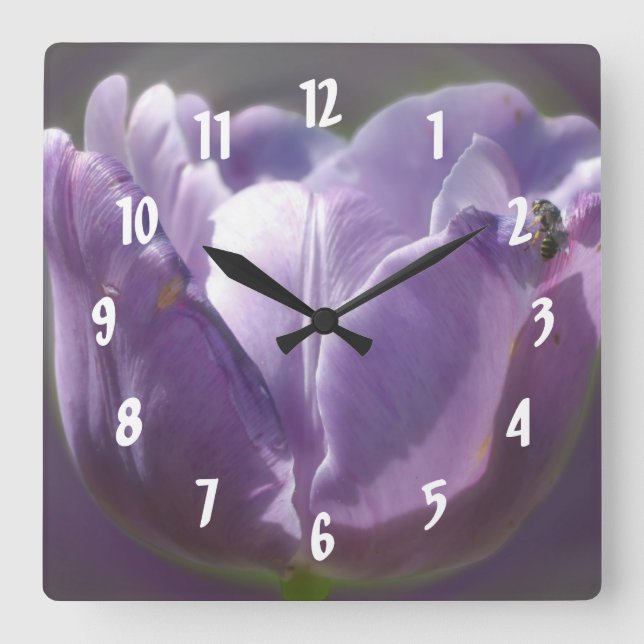 Reloj Cuadrado Tulipán púrpura pálido con flor de abeja (Anverso)