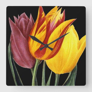 Reloj Cuadrado Tulipán (Tulipa Gesneriana)