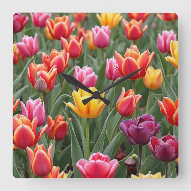 Reloj Cuadrado Tulipanes holandeses (Anverso)