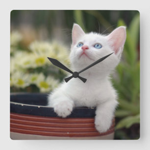 Reloj Cuadrado Turkish White Kitten