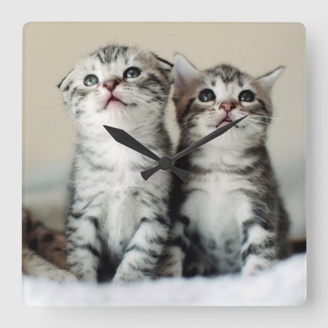 Reloj Cuadrado Two Cute Kittens (Anverso)