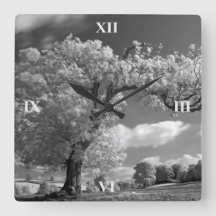 Reloj Cuadrado Un árbol sopla en el viento