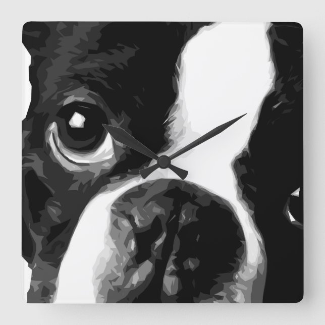 Reloj Cuadrado Un Boston terrier blanco y negro (Anverso)