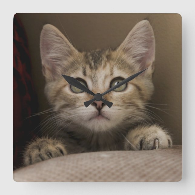 Reloj Cuadrado Un gatito muy dulce del Tabby (Anverso)