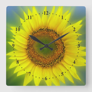 Reloj Cuadrado un girasol brillante