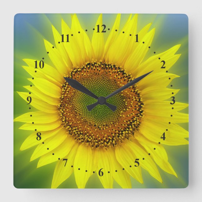 Reloj Cuadrado un girasol brillante (Anverso)