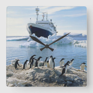 Reloj Cuadrado Un grupo de pingüinos que se colocan en una playa
