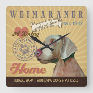 Reloj Cuadrado Un Weimaraner cariñoso hace nuestro hogar de la