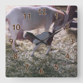 Reloj Cuadrado Una cabra y su hijo v2