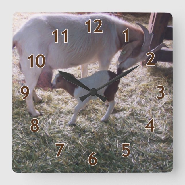 Reloj Cuadrado Una cabra y su hijo v2 (Anverso)