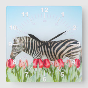 Reloj Cuadrado Una cebra entre los tulipanes