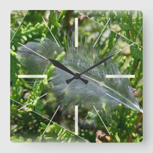 Reloj Cuadrado Una pluma perdida
